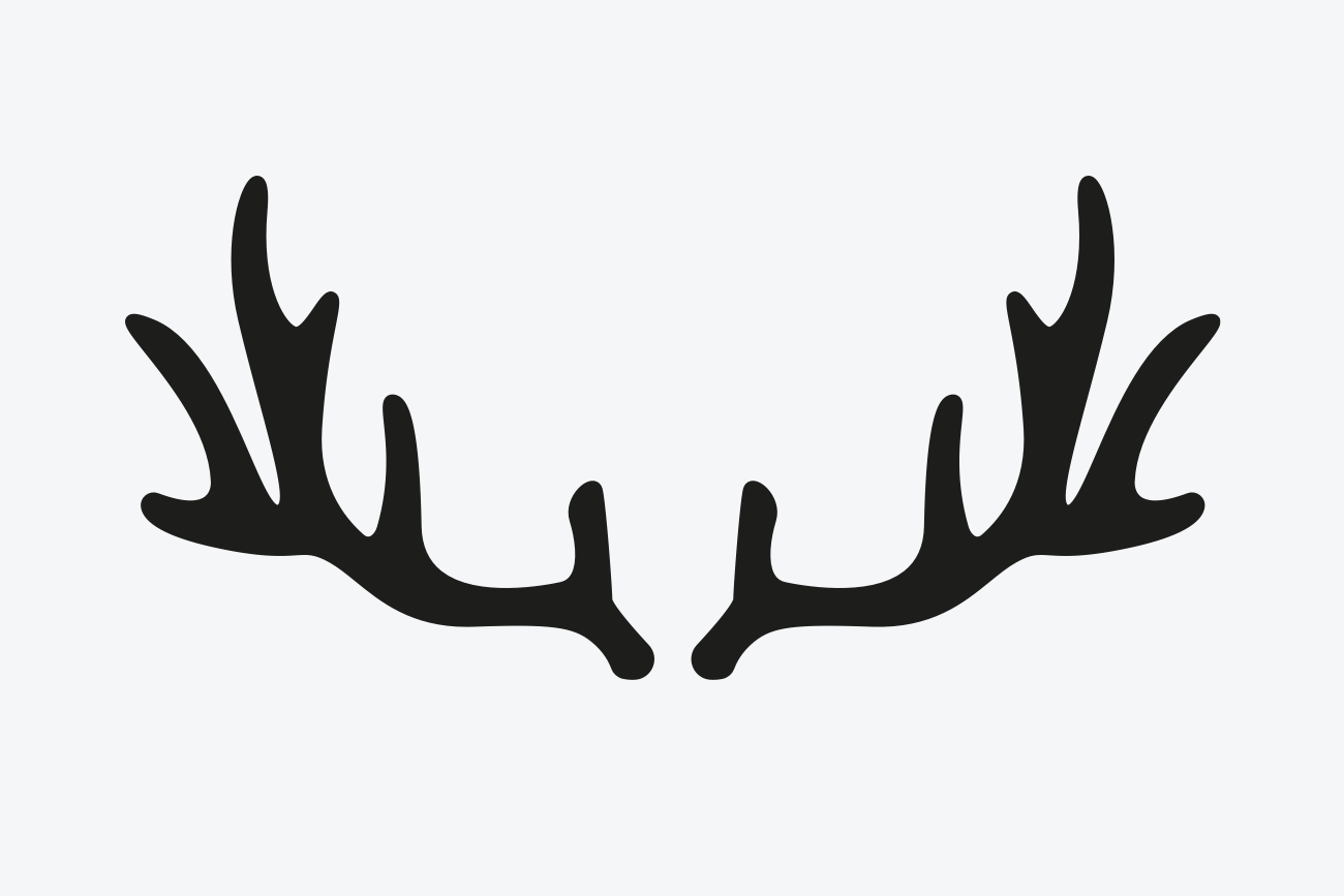 Winterliche Schablone Geweih für Türschilder und Möbel