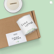 Die Möbelfarbe für deinen Urban Jungle steckt in unserer DIY-Box Jungle Affair. Unsere Produkte auf Instagram