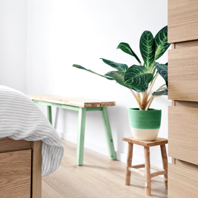 Holzmöbel streichen in Eukalyptus und sanfte Wohnakzente kreieren, Möbel mit Holzoberflächen für Wohninspiration von Urban Jungle bis Skandi-Boho